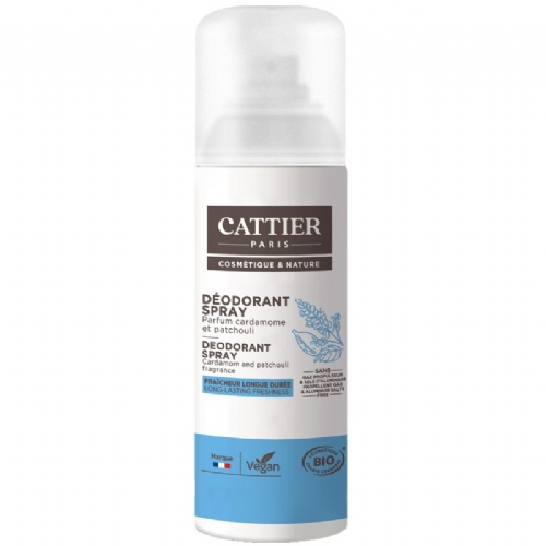 DESODORANTE SPRAY BRUME ACTIVE 100ml