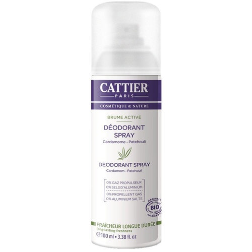 DESODORANTE SPRAY BRUME ACTIVE 100ml