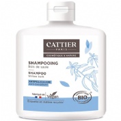 CHAMPU ANTICASPA 250 ml