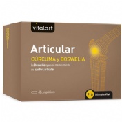 VITALART ARTICULAR 60 comp.