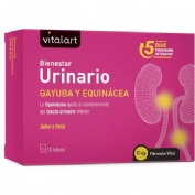 VITALART BIENESTAR URINARIO 10 sobres
