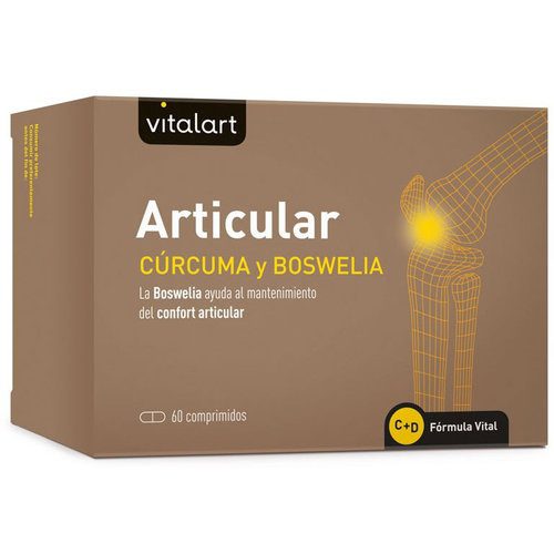 VITALART ARTICULAR 60 comp.
