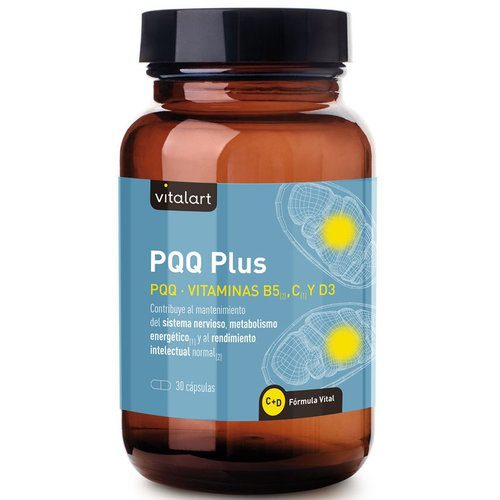 VITALART PQQ PLUS